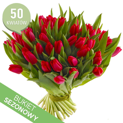 50 czerwonych tulipanów